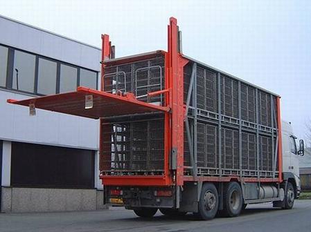 垂直升降汽車尾(wei)闆